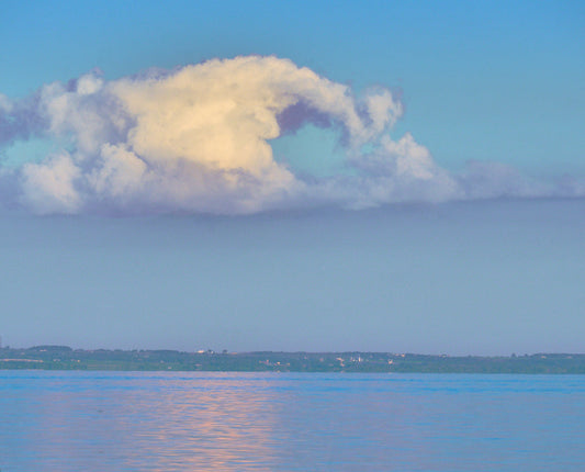 Creatively shaped cloud over a pond at dusk. Image taken by Jonnise Macomson
