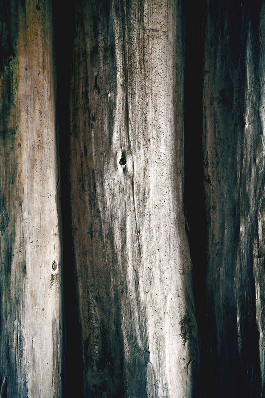 Large wooden wall beams, image captured by Jonnise Macomson