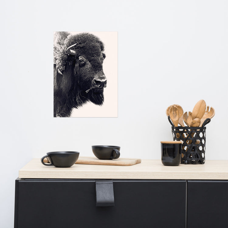 Editor's Picks