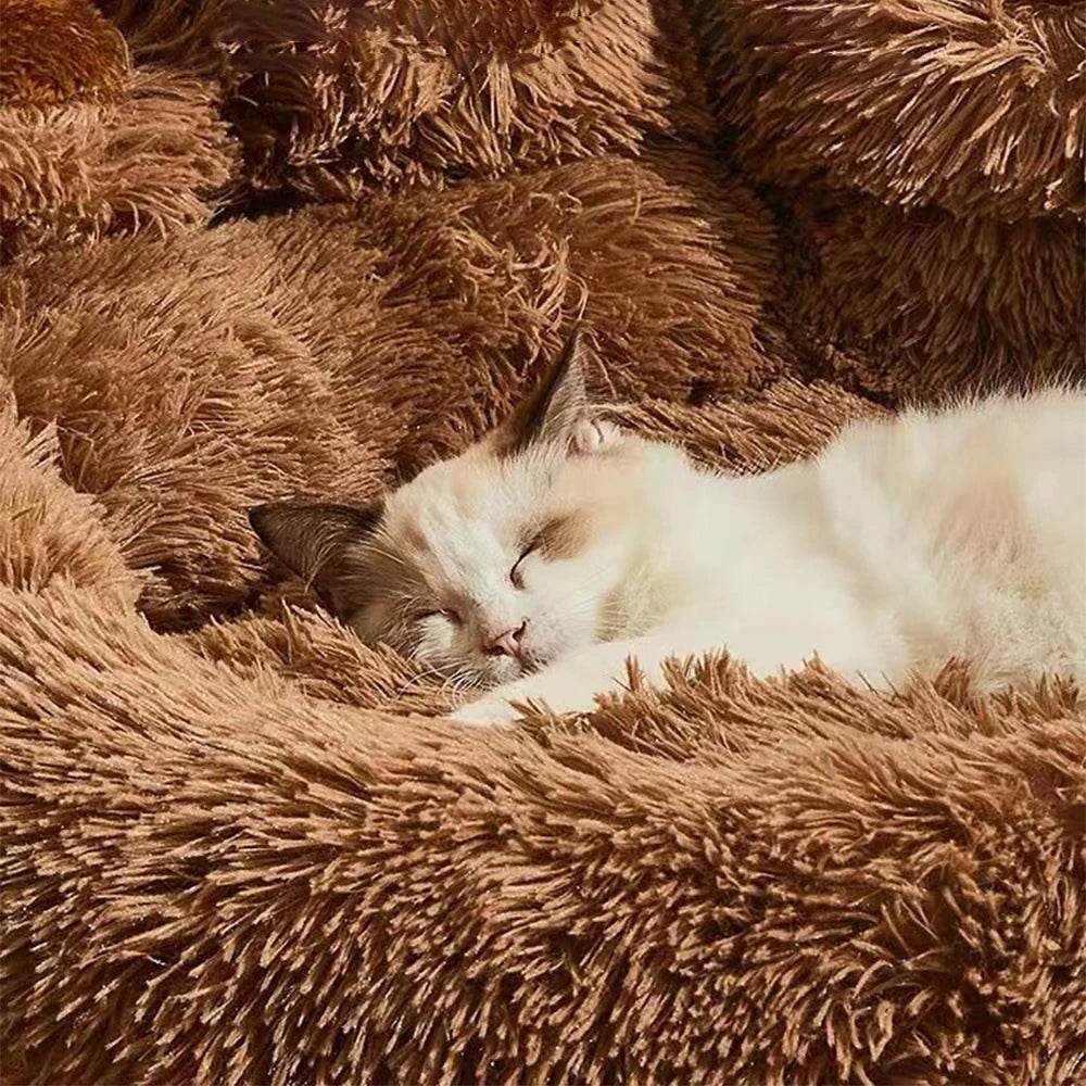 Cat sleeping on a fluffy brown blanket