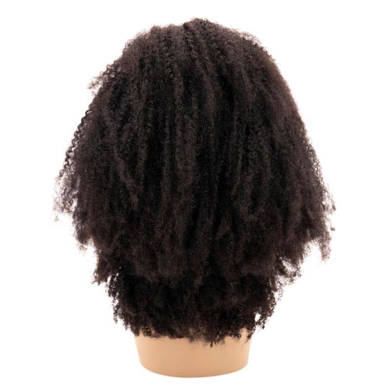 Afro Textured Curly 4x4 Transparent Lace Hair Closure Wig