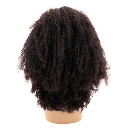Afro Textured Curly 4x4 Transparent Lace Hair Closure Wig