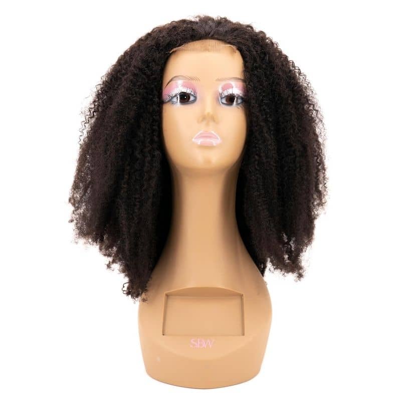 Afro Textured Curly 4x4 Transparent Lace Hair Closure Wig