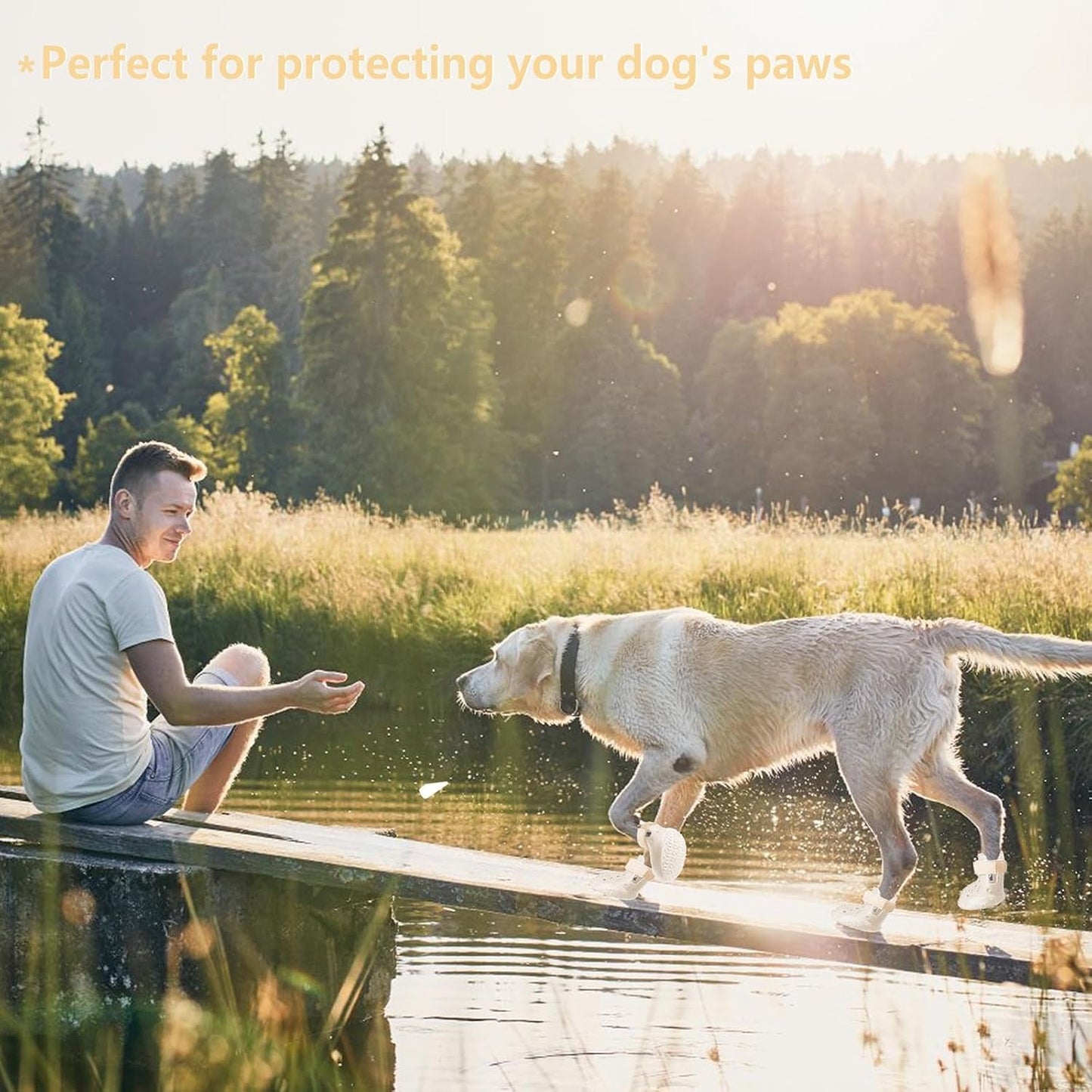 Indoor Dog Shoes for Paw Protection | Non-Slip, 4 Pack