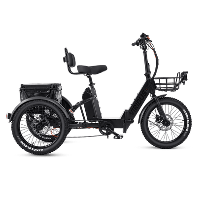 Folding Electric Tricycle, FC1 | Viribus