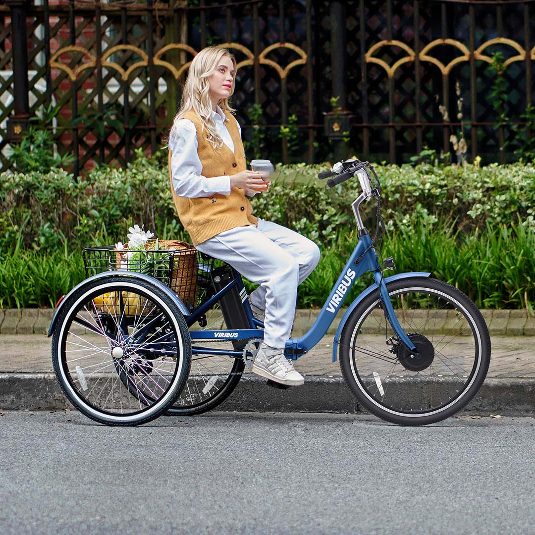 Folding Electric Tricycle | Viribus TG1