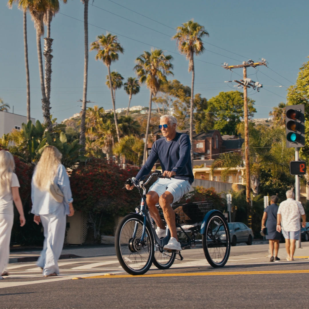 Folding Electric Tricycle | Viribus TG1
