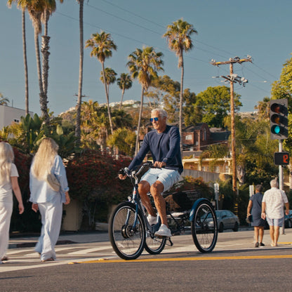Folding Electric Tricycle | Viribus TG1
