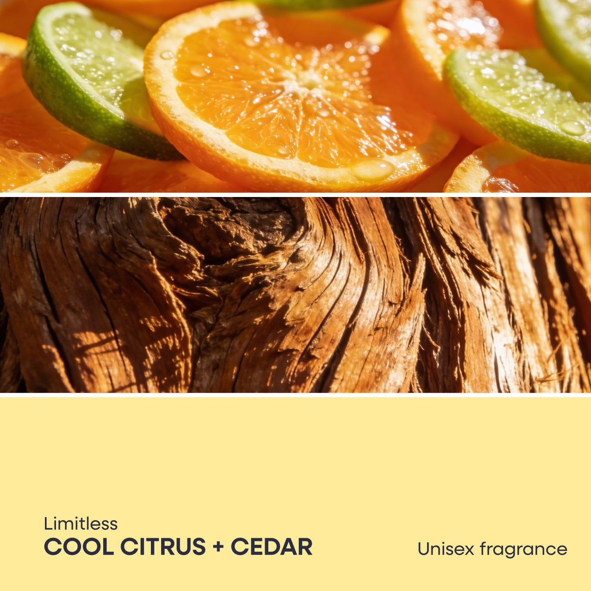 Signature Starter Refresh Kit | Duradry