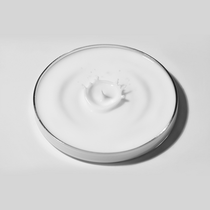 Glass lid on a white surface with a subtle shadow
