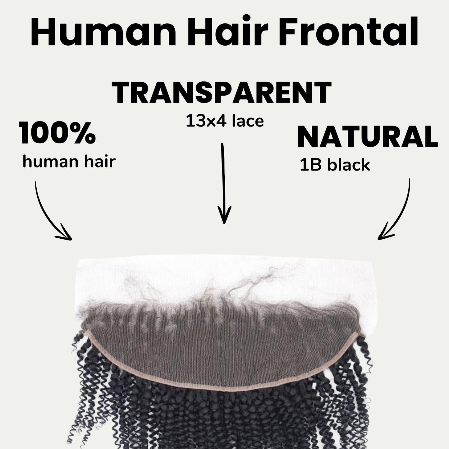 Afro Textured Curly 13x4 Transparent Lace Hair Frontal