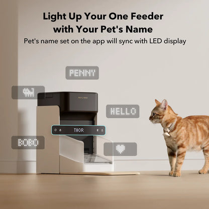 RFID Automatic Pet Feeder