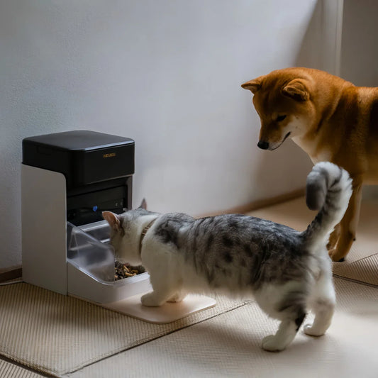 Cat and dog interacting with a pet feeder on a light-colored floor.