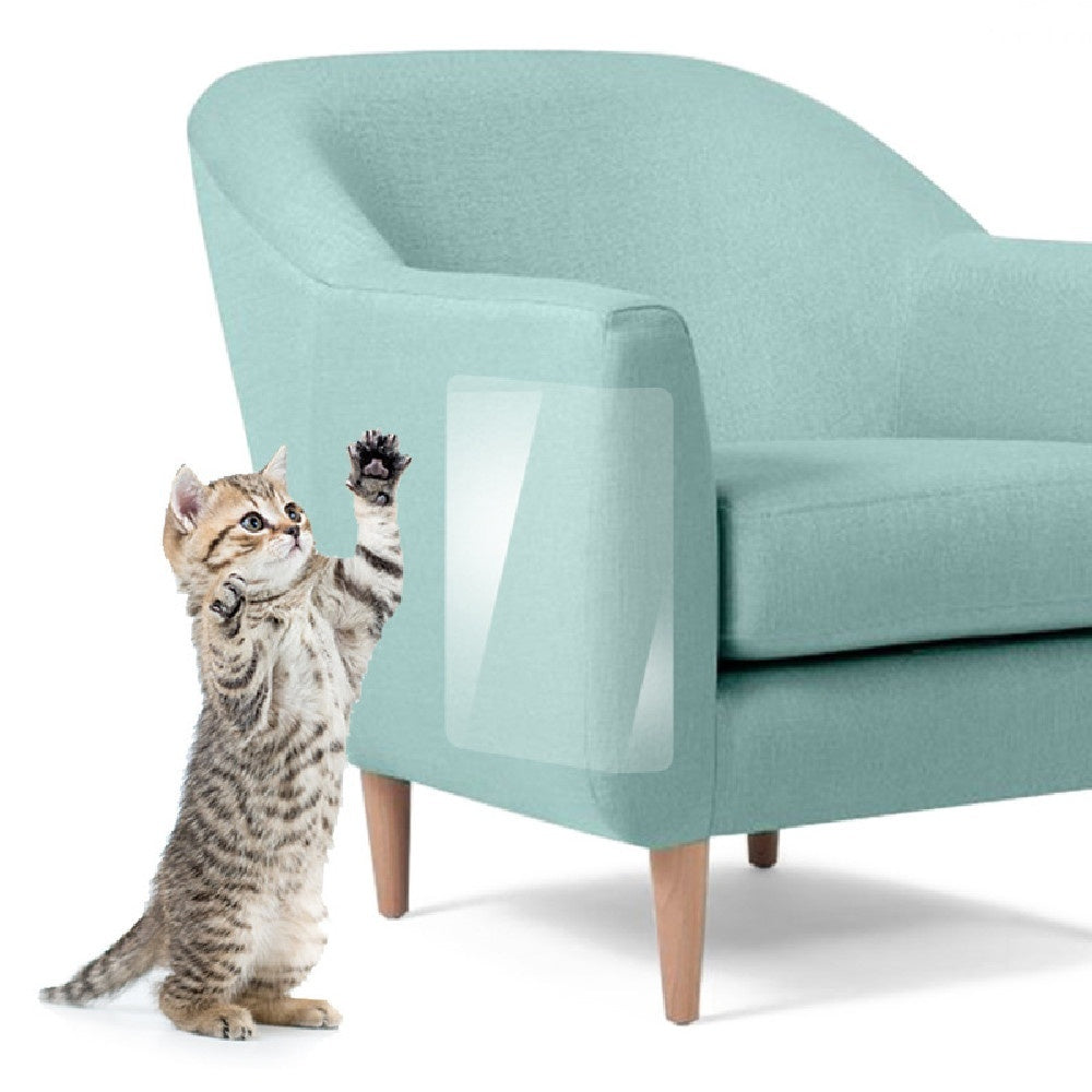 Cat reaching up towards a light blue armchair on a white background