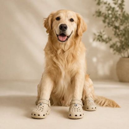 Indoor Dog Shoes for Paw Protection | Non-Slip, 4 Pack