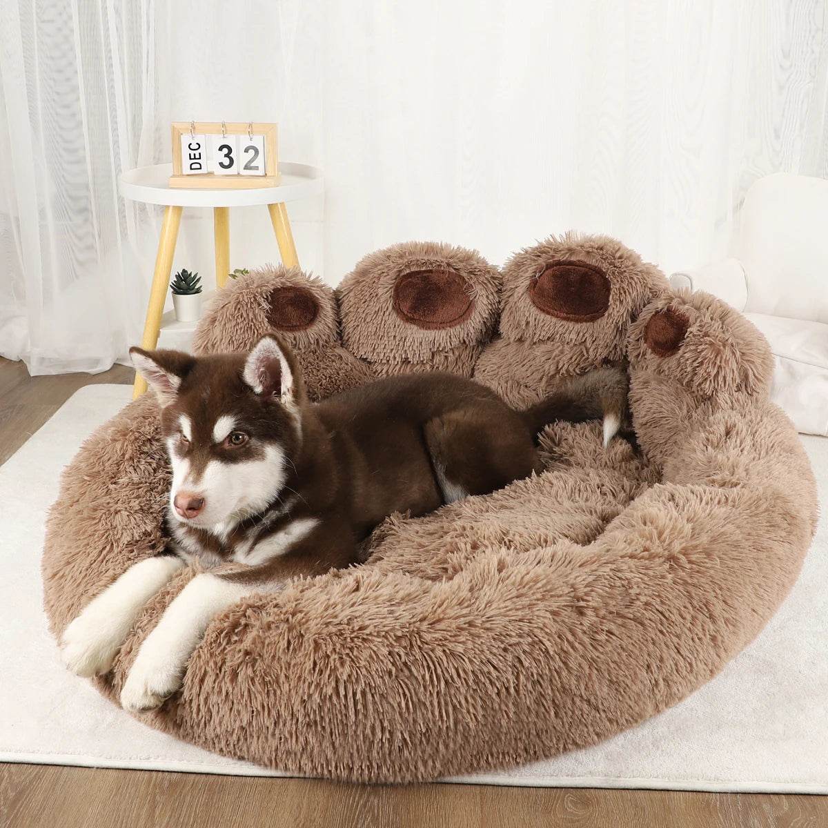 Big Paw Plush Washable Dog & Cat Bed