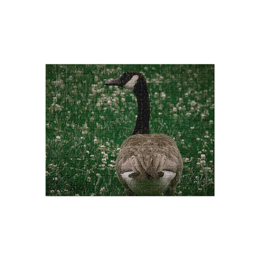 Your Suggested Brand jigsaw puzzle with an image of a canadian goose in the grass