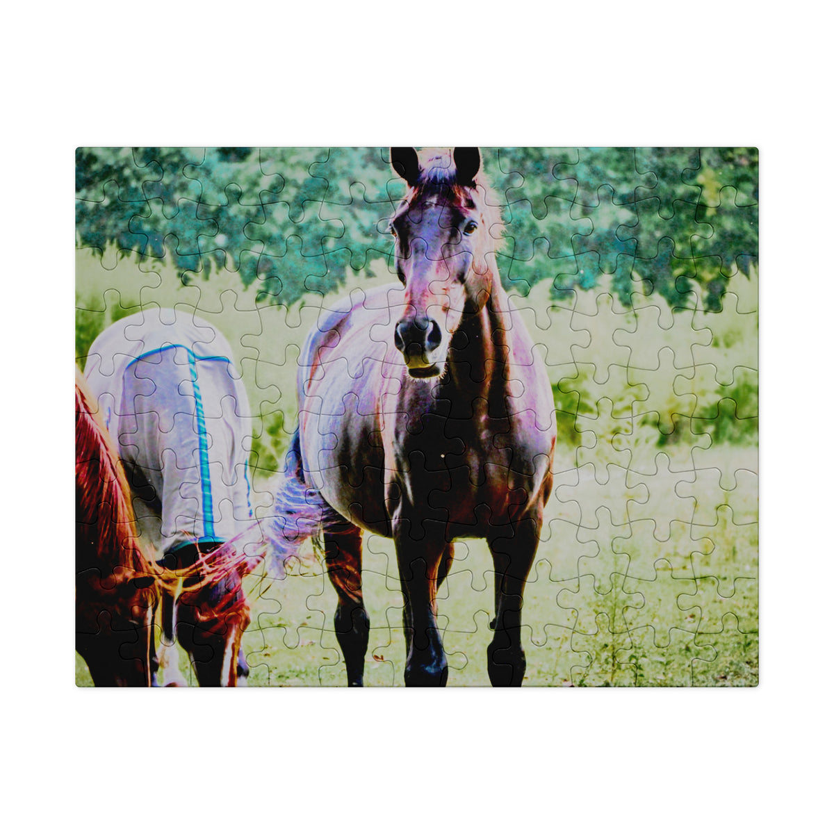 A completed jigsaw puzzle showing a horse portrait in a grassy outdoor scene, photographed against a plain white background.