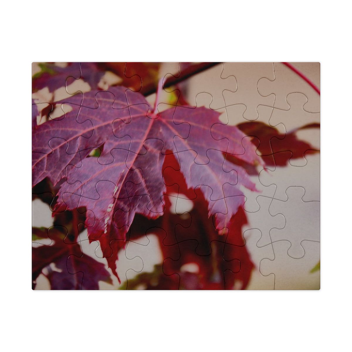 Your Suggested® Jigsaw Puzzle With Tin, Red Maple 1