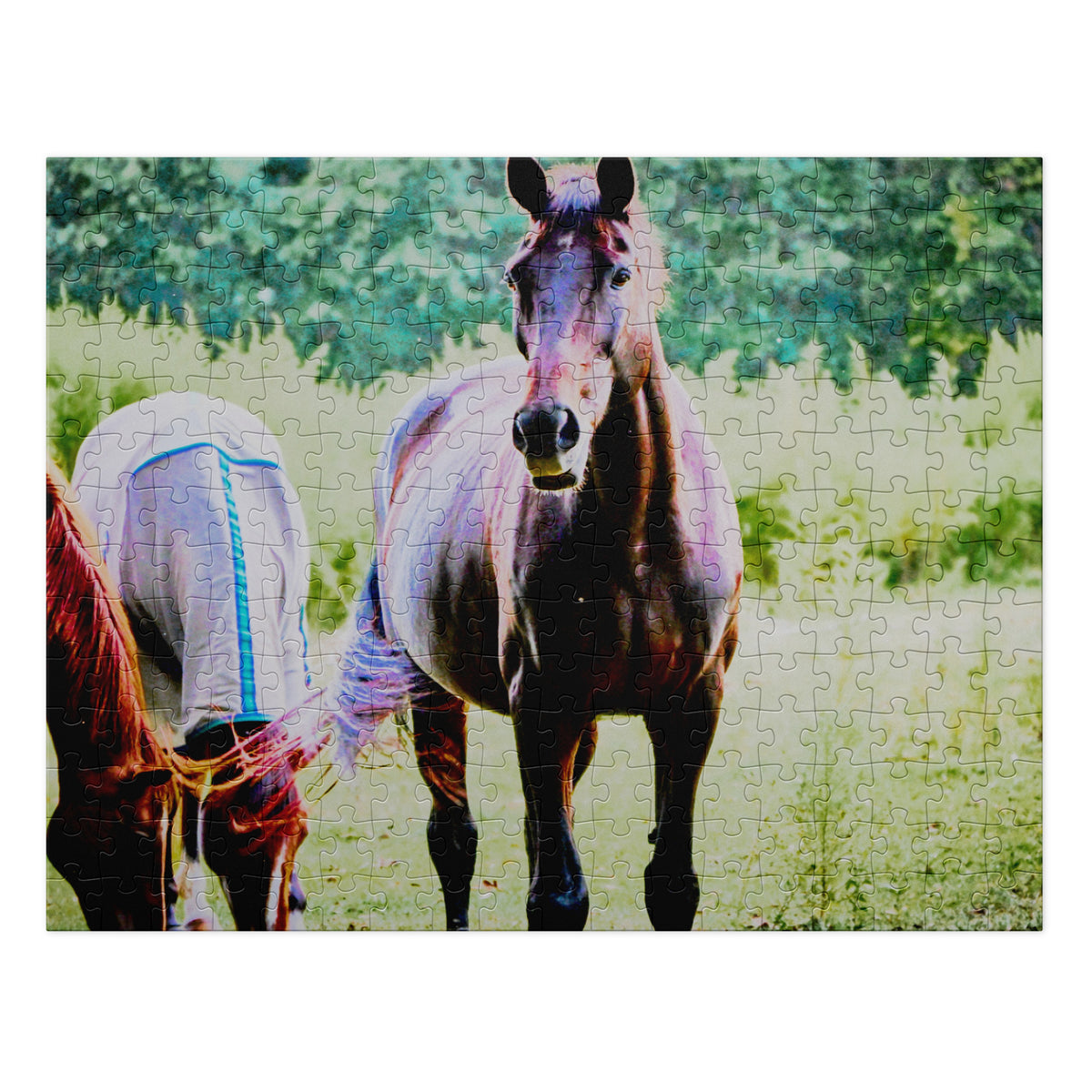 A completed jigsaw puzzle showing a horse portrait in a grassy outdoor scene, photographed against a plain white background.
