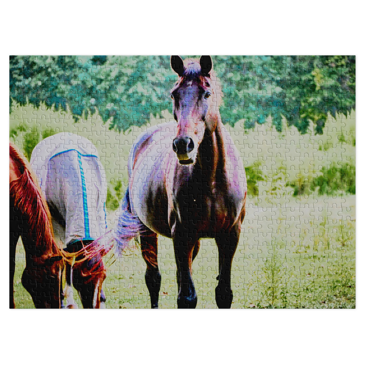 A completed jigsaw puzzle featuring a photo of horses in a grassy field, shown against a plain white background.