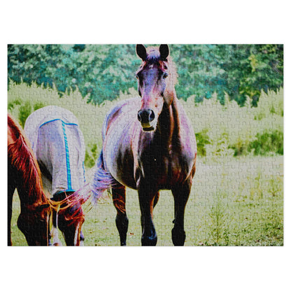 A completed jigsaw puzzle featuring a photo of horses in a grassy field, shown against a plain white background.