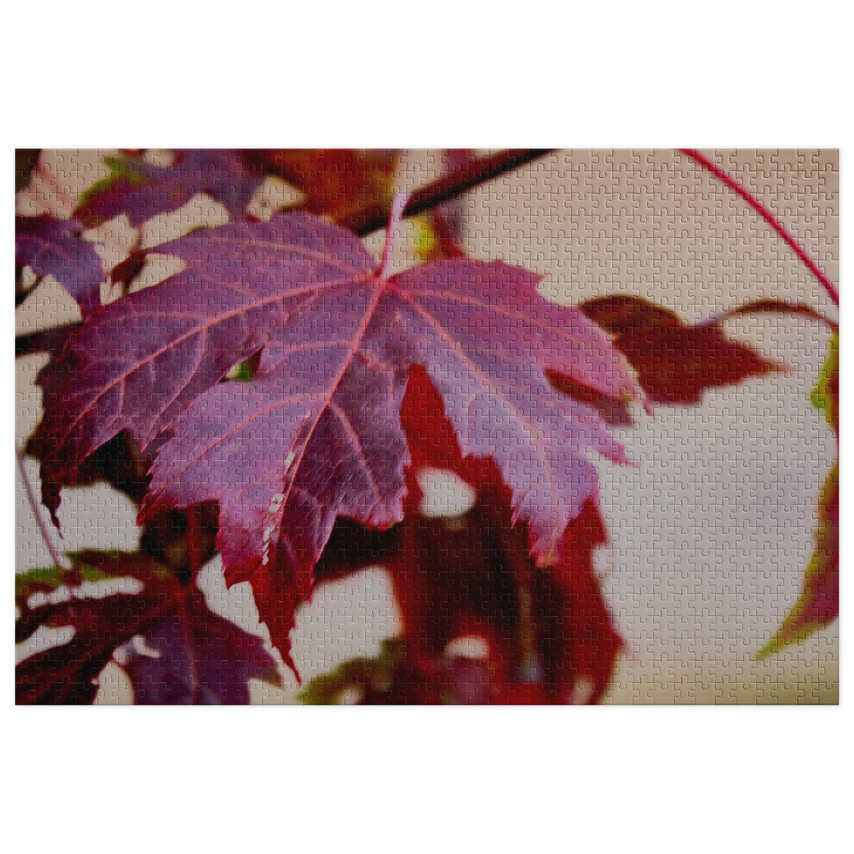 A close-up photograph of a red maple leaf with prominent veins and a textured, vintage-style filter overlay, set against a neutral background.