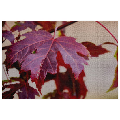 A close-up photograph of a red maple leaf with prominent veins and a textured, vintage-style filter overlay, set against a neutral background.