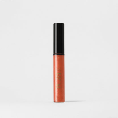 Vegan Lip Gloss
